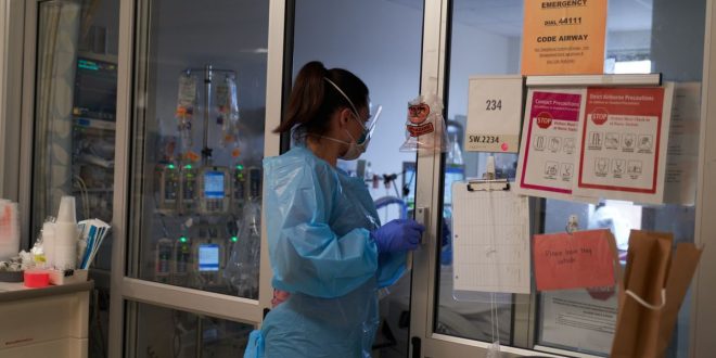Texas Meminta Bantuan dari AS;  Rawat Inap Anak Meningkat: Pembaruan Virus