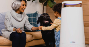 DH Lifelabs Sciaire Mini + HEPA – pembersih udara pintar terbaik untuk ruangan sedang