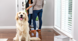 PetSafe Teach & Treat Remote Reward Trainer – perangkat untuk melatih perilaku anjing