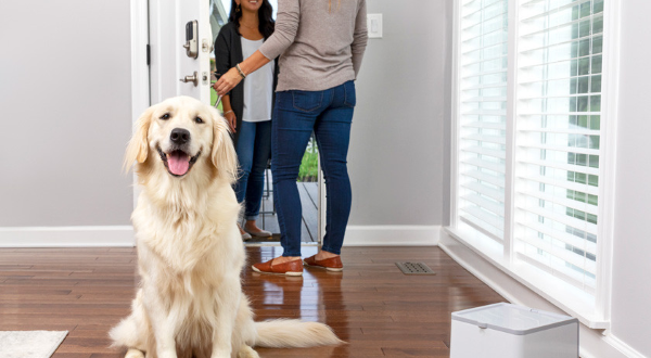 PetSafe Teach & Treat Remote Reward Trainer – perangkat untuk melatih perilaku anjing