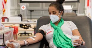 Fakta cepat: Apa yang harus diketahui sebelum Anda mendonor darah