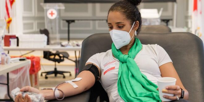 Fakta cepat: Apa yang harus diketahui sebelum Anda mendonor darah