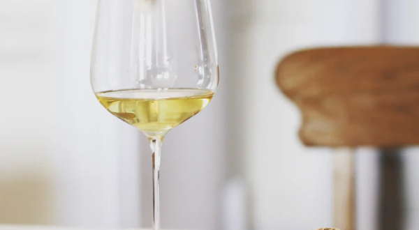 Glasvin Universal Wine Glass – Gelas anggur serbaguna yang ditiup dengan tangan modern