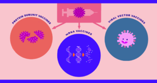 Pahami berbagai jenis vaksin Covid-19