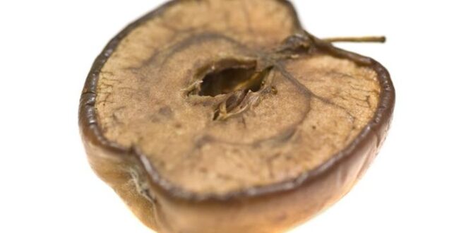 T&J: Genitourinary syndrome of menopause (GSM) – atrofi vagina