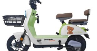 Rekomendasi Sepeda Listrik, Yuk Pilih dan Cek Harganya