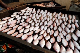 Amerika Serikat harus bertindak untuk mengakhiri penangkapan ikan ilegal pada tahun 2023