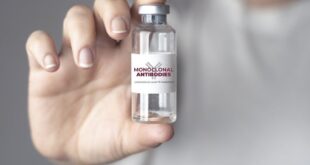 Pengertian Antibodi Monoklonal – HealthyWomen