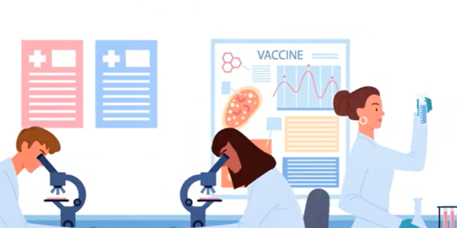 Bagaimana vaksin dibuat?  Kesehatan perempuan