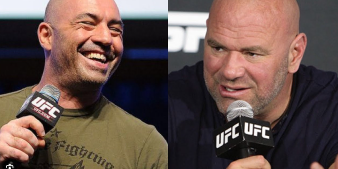 Dana White dan Joe Rogan: Mengungkap Kisah di Balik Kesuksesan