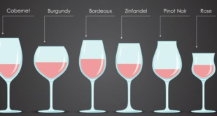 Pilih yang Terbaik: Panduan Lengkap Mengenai Gelas Wine dan Tips Memilih yang Tepat