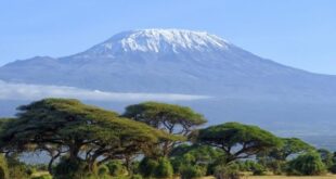 Gunung Kilimanjaro: Petualangan Mendaki Puncak Tertinggi di Afrika