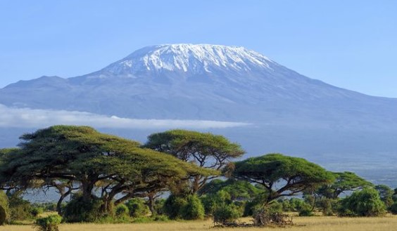 Gunung Kilimanjaro: Petualangan Mendaki Puncak Tertinggi di Afrika