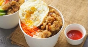 Anak Kos Wajib Tahu, Cara membuat Oyakodon, Nasi Ayam Pakai Telur Dadar ala Ricebowl Jepang