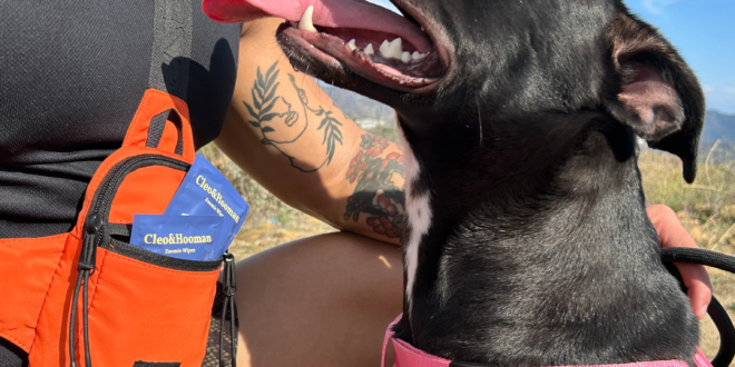 Tisu Cleo&Hooman Zoomie – tisu hipoalergenik untuk anjing yang aman digunakan